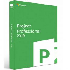 Project Professional 2019, image 