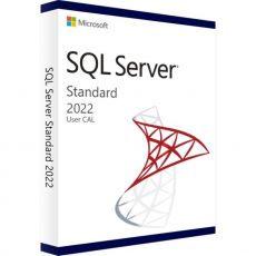 SQL Server 2022 Standard - User CALs, تراخيص وصول العميل: 1 كال, image 