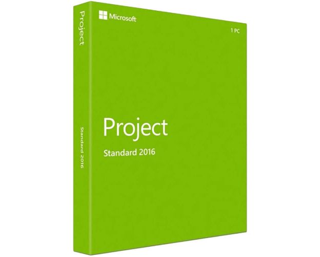 Project 2016 Standard