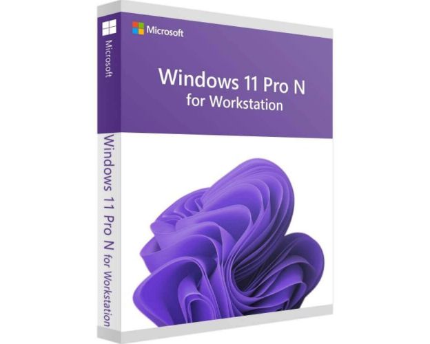 Windows 11 Pro N for Workstation